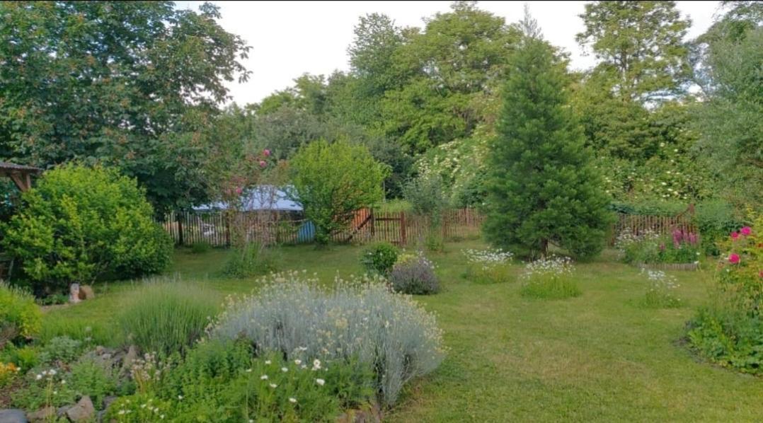 Maring-Noviand Orangerie Zimmer Gehaichnishof 7Born מראה חיצוני תמונה